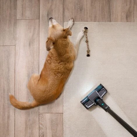 Aspirador Escoba Sin Cables Conga Rockstar 2500 X-Treme Cecotec 4 Aspirador Escoba Sin Cables Conga Rockstar 2500 X-Treme Cecotec - Imagen 4